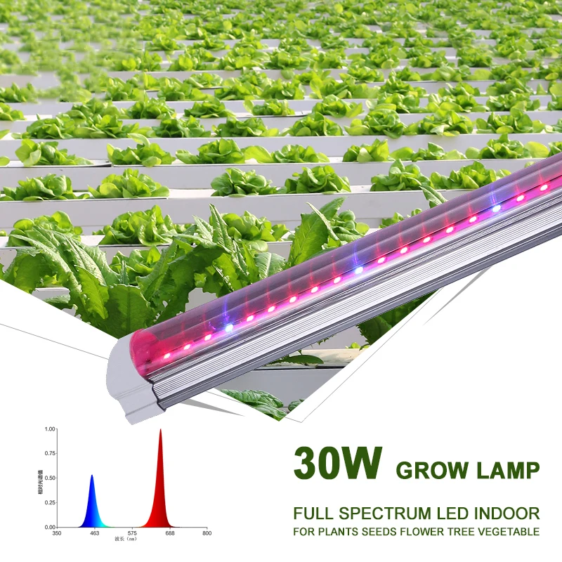 

Led Plant Grow Lamp Indoor Fitolamp Full spectrum For Plants Fitolampy Phyto Hydroponics Growing Lamp Seeds Flower Growth Light