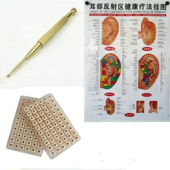 

3 in 1 600 pcs Auricular Vaccaria ear press seed Acupuncture massage stickers+1 pcs meridians chart+1 pcs ear point pen
