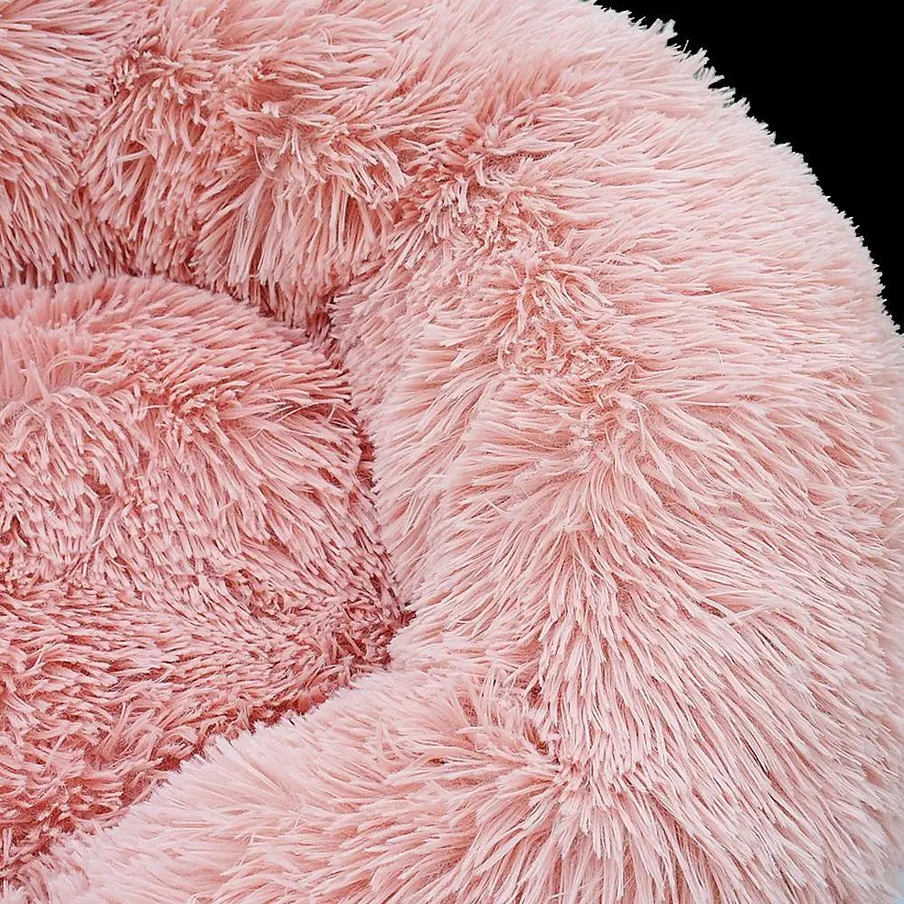 Pet Bed Product Display - 1 Royal Living