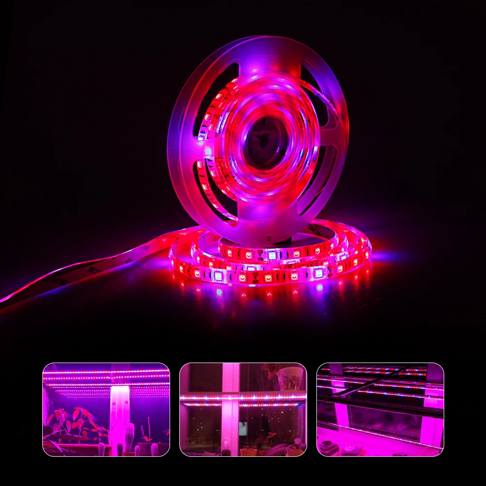 Foxanon полный спектр Led Grow Light 300 светодиодов 5 м фитолампы Strip огни с выключателем