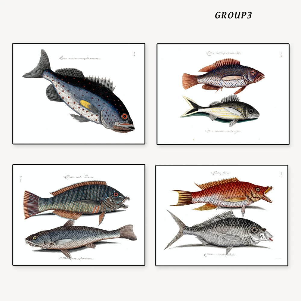 Fishing prints vintage / antique color drawing fish unframed set of 4 Fishing Decor, Fishing Art, Fisherman Gift, Nautical Art