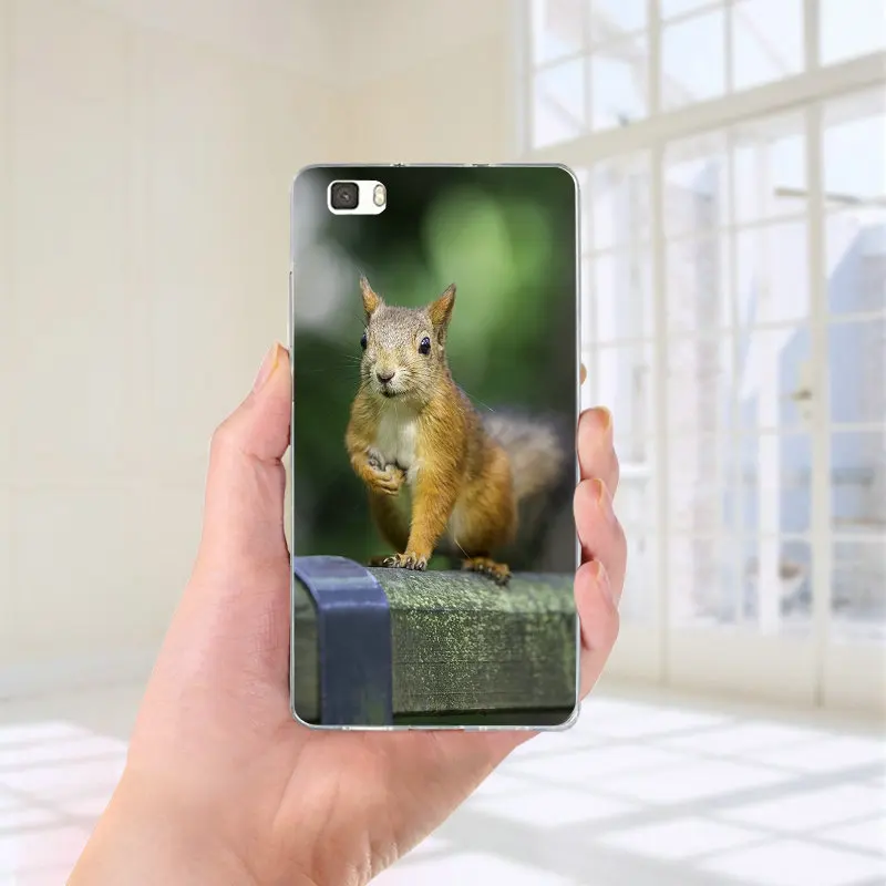 For Huawei P8 P9 P10 P20 P30 Honor 6X 7X 7 9 Mate 10 Pro Lite P Smart Silicone Soft TPU Mobile Phone Case Lovely Animal Squirrel For Huawei P8 P9 P10 P20 P30 Honor 6X 7X 7 9 Mate 10 Pro Lite P Smart Silicone Soft TPU Mobile Phone Case Lovely Animal Squirrel