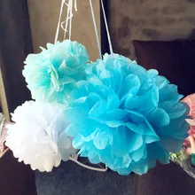 Wedding Decoration 5pc 13 20 25cm Pom Pom Tissue Paper Pompom Flower Graduation Birthday Party Decorations