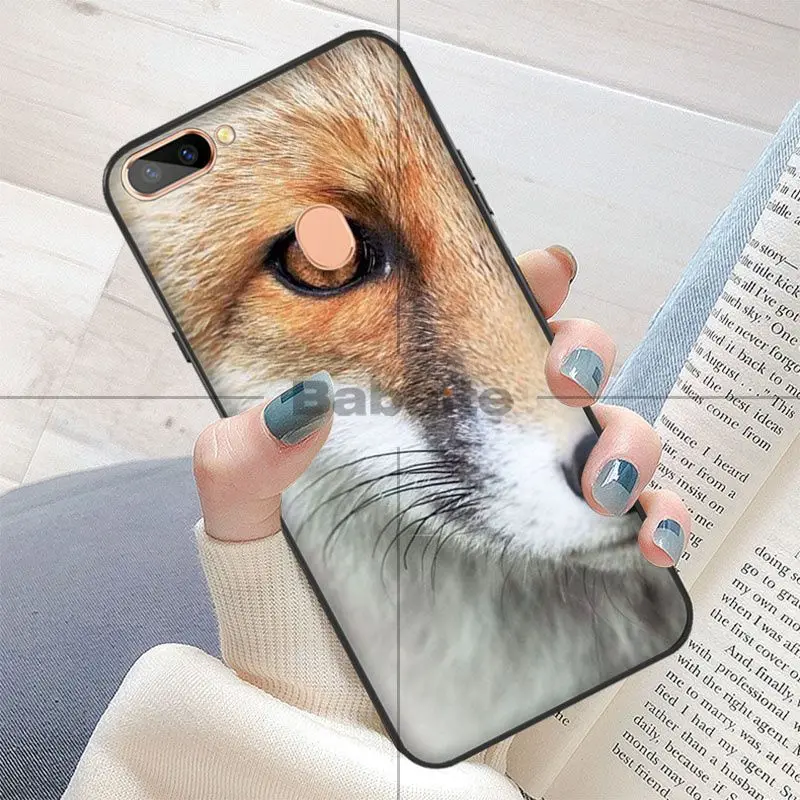 Fox Glasses Universe