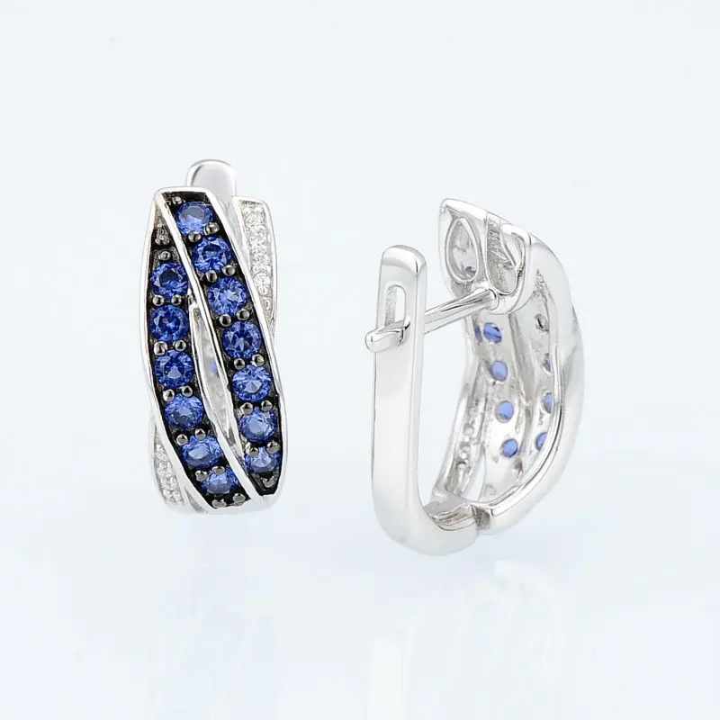E304370SBZZSK925-SV2-Silver Earrings