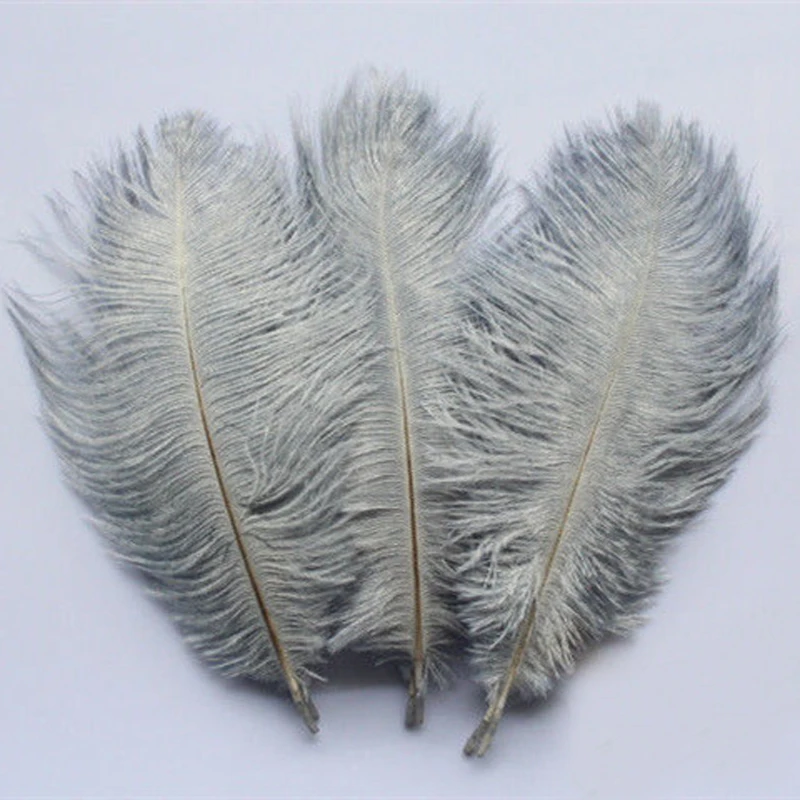 

Wholesale 100pcs/lot 6-8'' 15-20cm High Quality Grey Ostrich Feathers Wedding Decoration Pheasant Tail Feather