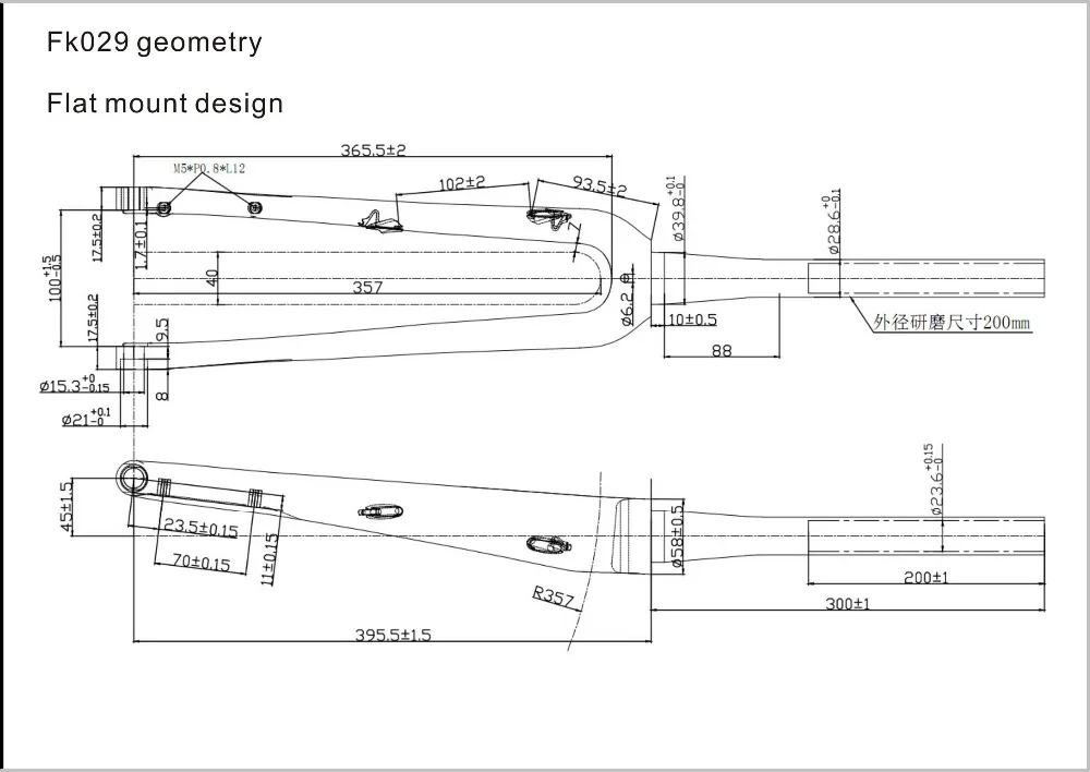 GR029-geometry carbon fork