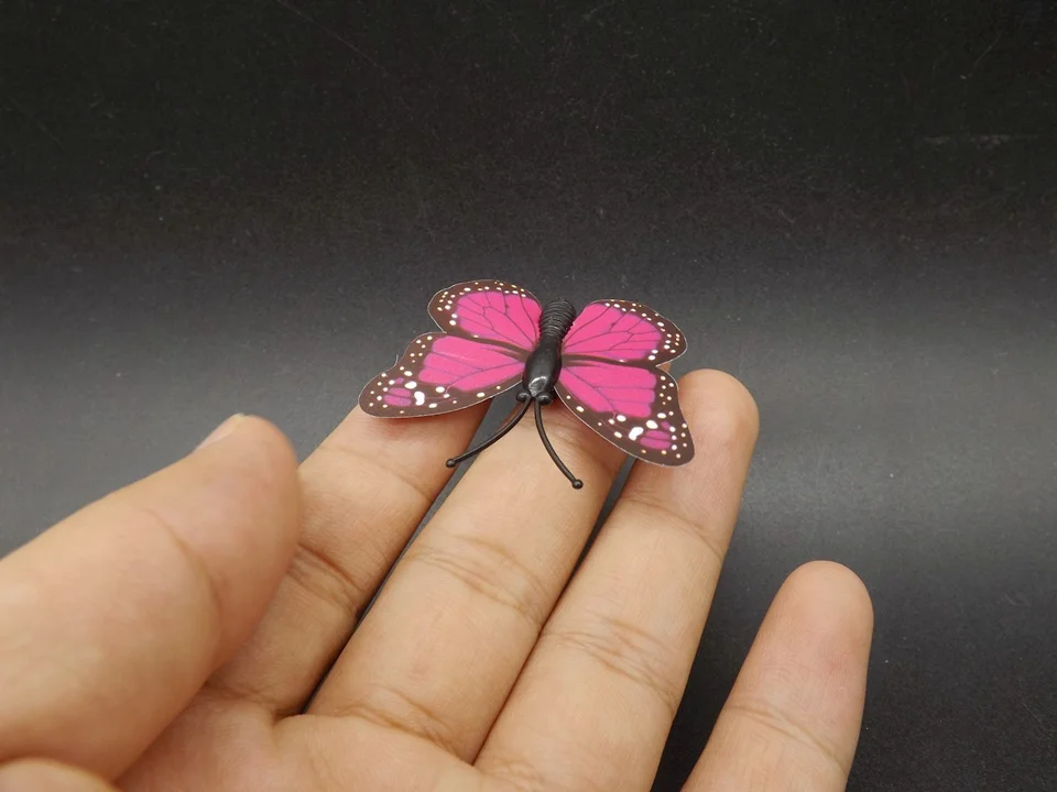 I249-Butterfly (3)