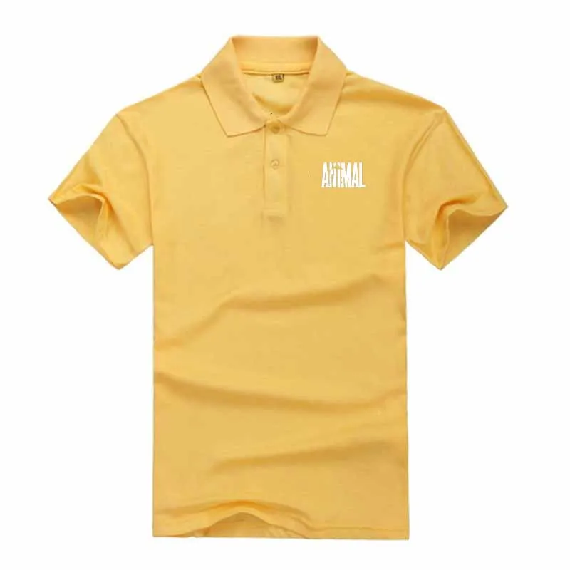81