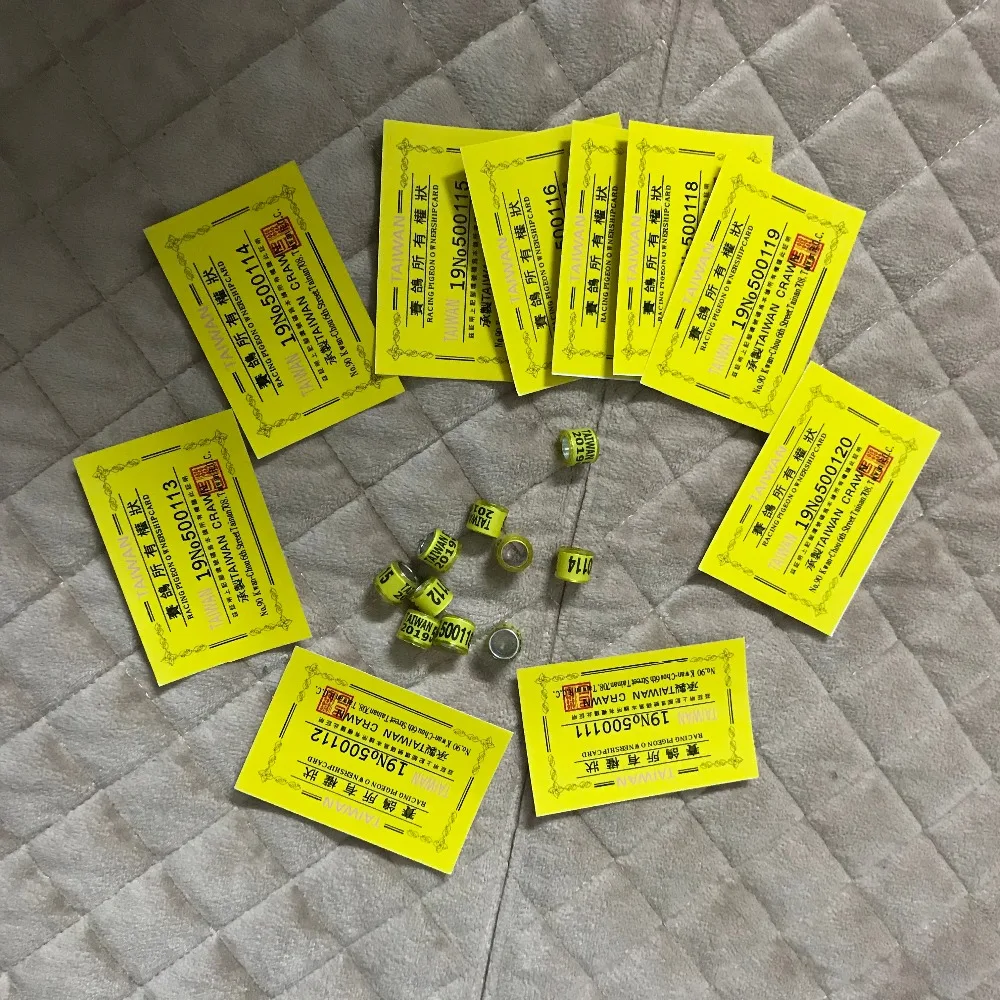 Желтый тайваньский голубь кольцо с билетами Кольца Птицы 100 шт./партия