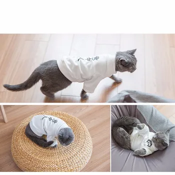 Pets Lovers A Cat dog Clothes New Pattern Autumn And Winter Personality Original Kitty Increase Clothing CW-YF21 