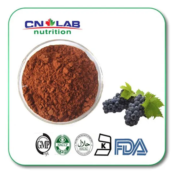 free shipping Grape Seed Powder/Grape Seed Procyanidin/Grape Seed Powder Extract 1 bag 100 g 100% pure fenugreek seed extract methi extract