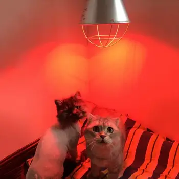 

E27 175W 275W Adjustable Pet Heating lamp Shade Infrared Heat Light Shade Pet Brooder Chicken Piggy Dog Cat Heat Lampshade