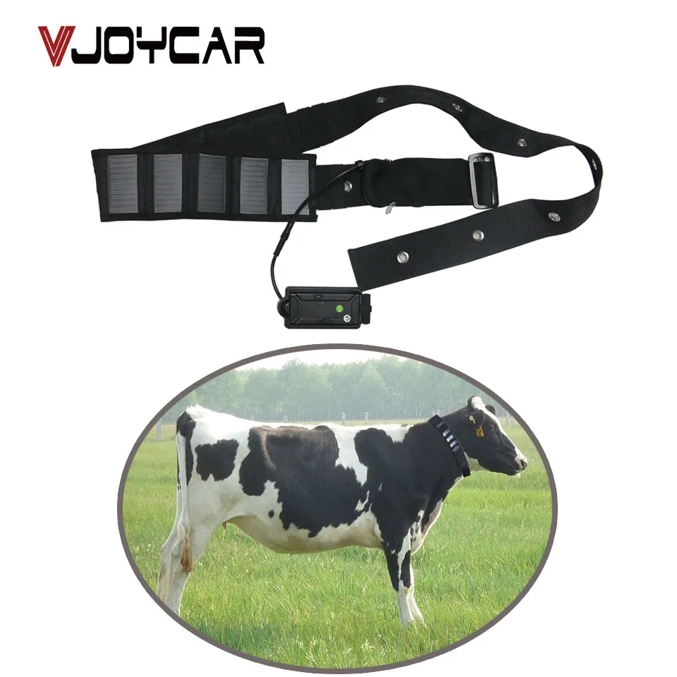 GPS трекер для коровы 5000 мАч с солнечной панелью|collar gps tracker|gps trackercollar |