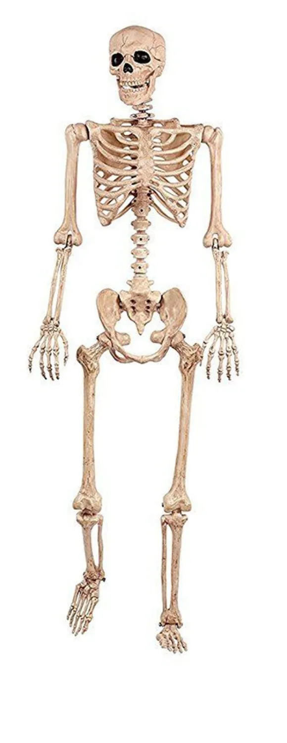 Хэллоуин Tricky реквизит поза-N-оставаться Скелет моделирование скелет кости 65 "Хэллоуин Косплэй