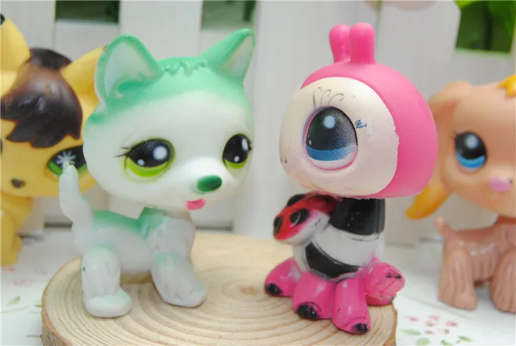 5 шт./компл. LPS Pet Shop мини Домашние животные игрушки кошки собаки экшн Фигурки canina