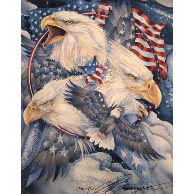 animal eagle
