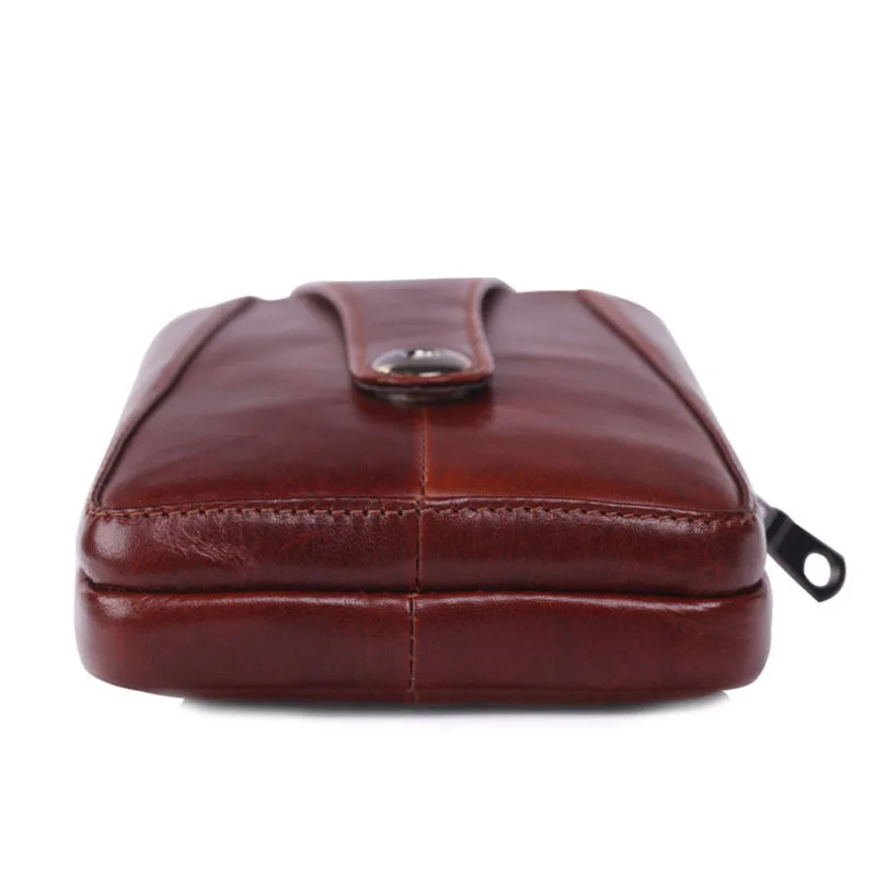 BL1069Brown04