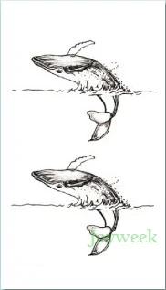 Водонепроницаемая временная татуировка, Кит, Акула, дельфин, бумажные складные художественные тату-наклейки, флэш-тату, поддельные татуировки для девочек, женщин, детей - Цвет: Сливовый