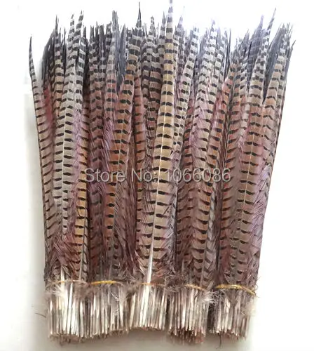 

EMS Free shipping manufacturers sale 500pcs 60-65cm 24-26inch Natural ringneck feather tail lady amherst pheasant feathers