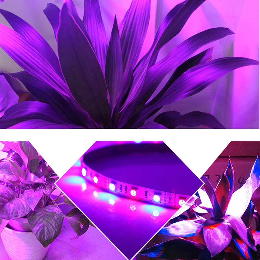 Светодиодный светильник для выращивания s DC12V, светодиодный светильник для роста растений, полный спектр+ 12 В, 2 А, адаптер питания для теплицы, гидропоники