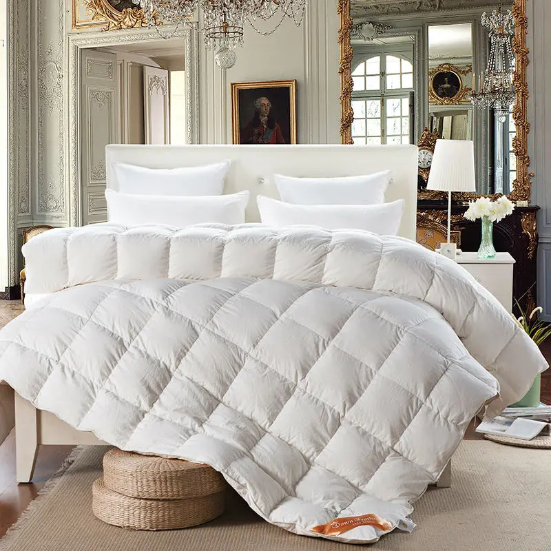 European Print Duck Goose Down Duvet Comforter Quilting Winter