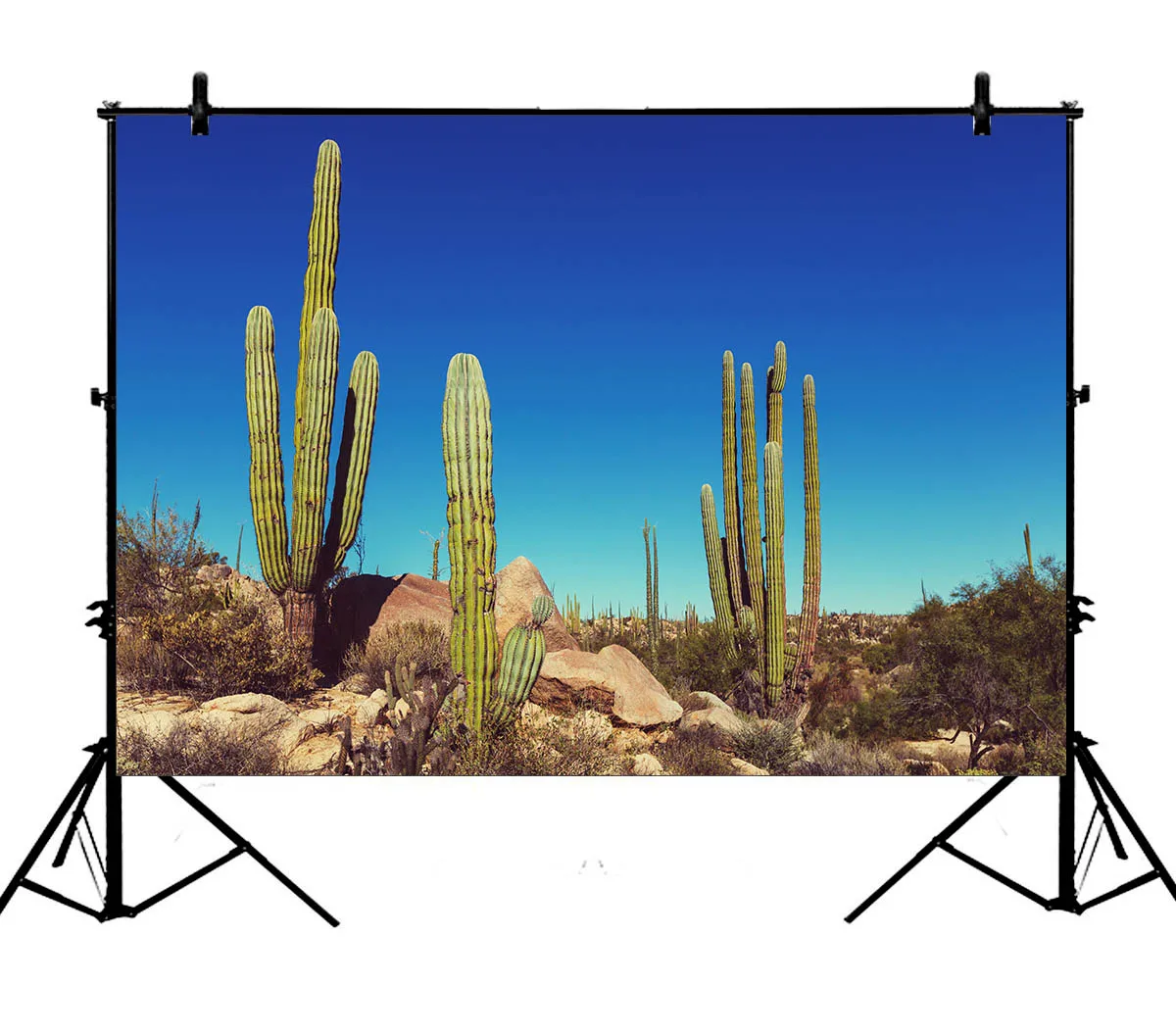 

5x7ft Blue Sky Big Cactus Wild West Polyester Photo Background Portrait Backdrop