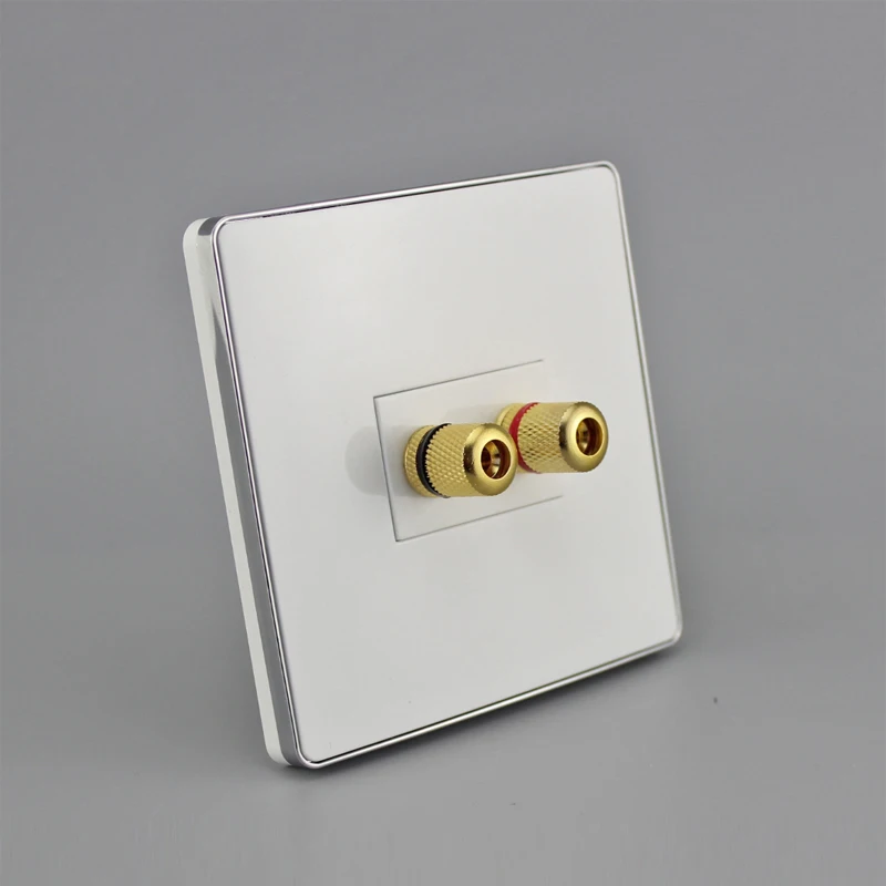 2 ports speaker connector wall panel pic 3