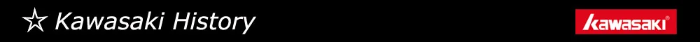 Kawasaki полиэстер ТЕННИСНАЯ СПОРТИВНАЯ юбка женские юбки шорты Спортивная юбка для нетбола для бадминтон, бег теннисная юбка SK-S2752