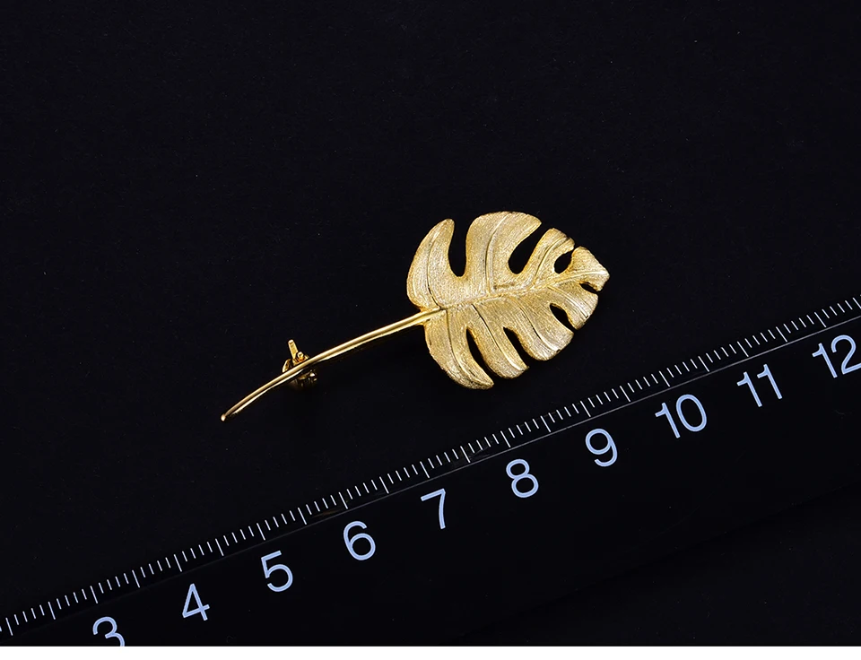 LFJK0042-Monstera-Leaves_08