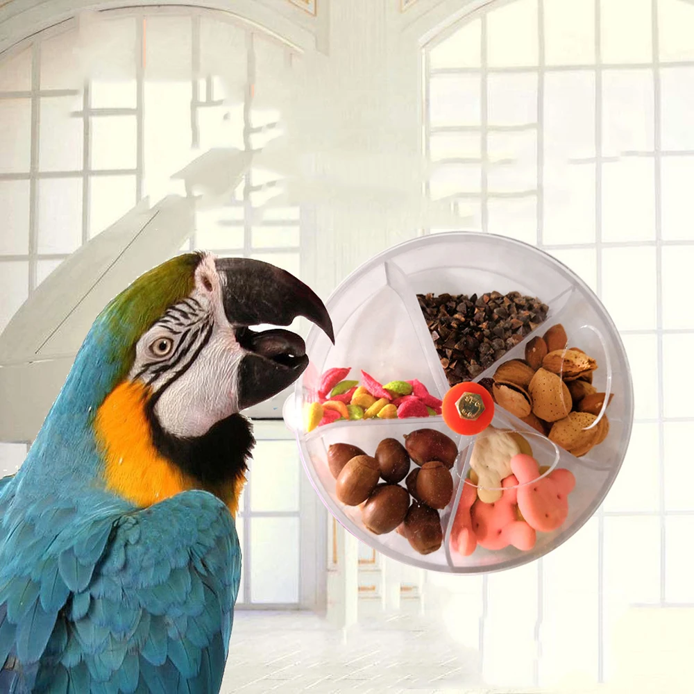 

2019 Parrot Brain Game Toy Funny Parrot Roller Feeder Device Toys Wheels Cake Modeling Design Food Box Hot Sale