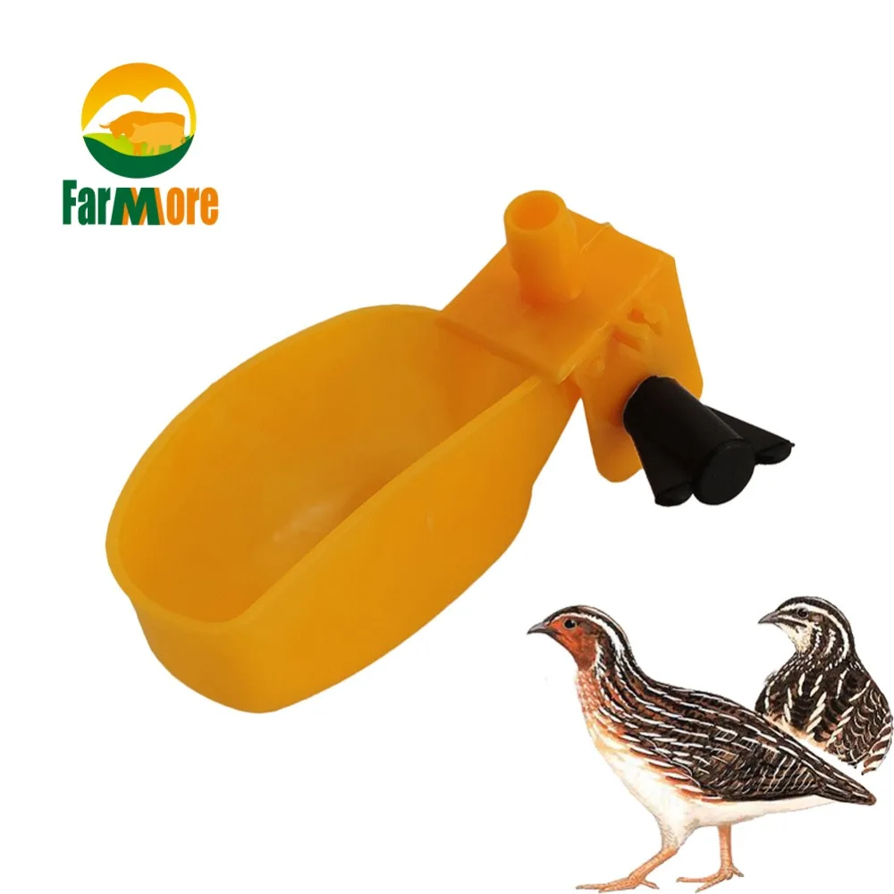 10Pcs Quail Automatic Drinking Piegon Duck Water Bowl Small font b Pet b font Bee Parrot