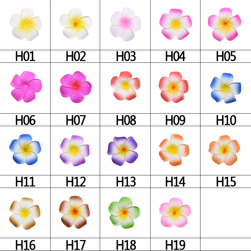 H01 (3)