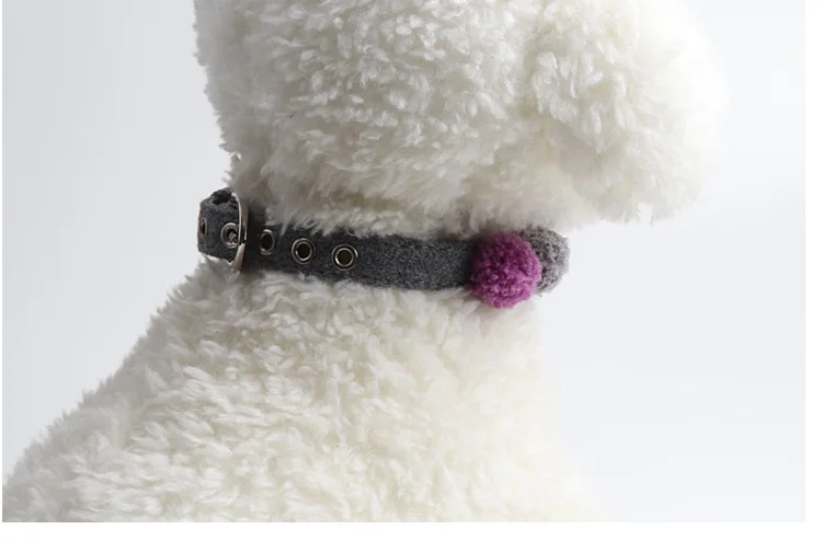 9558917729_307791824