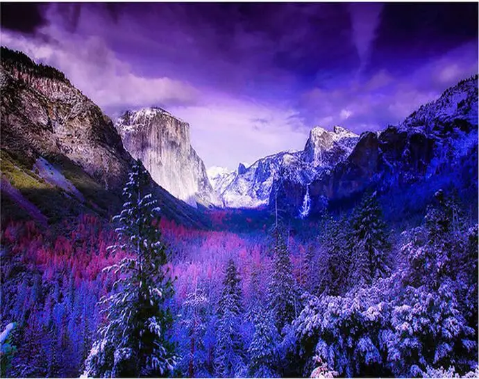 lavendar moutain