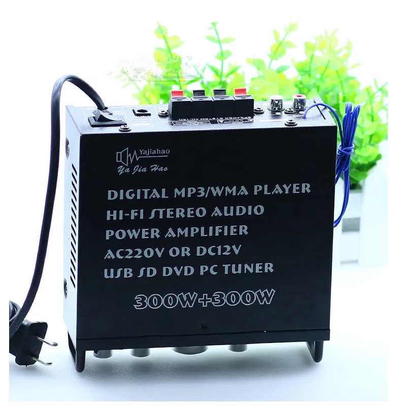 12V single version card set dual-use Bluetooth amplifier