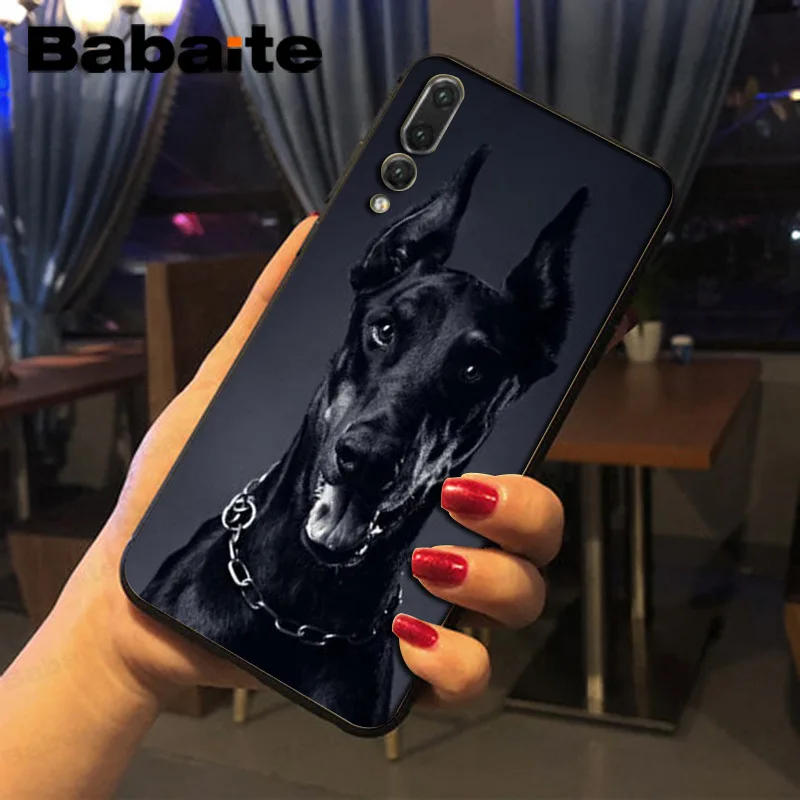 black Dachshund Doberman Dog face