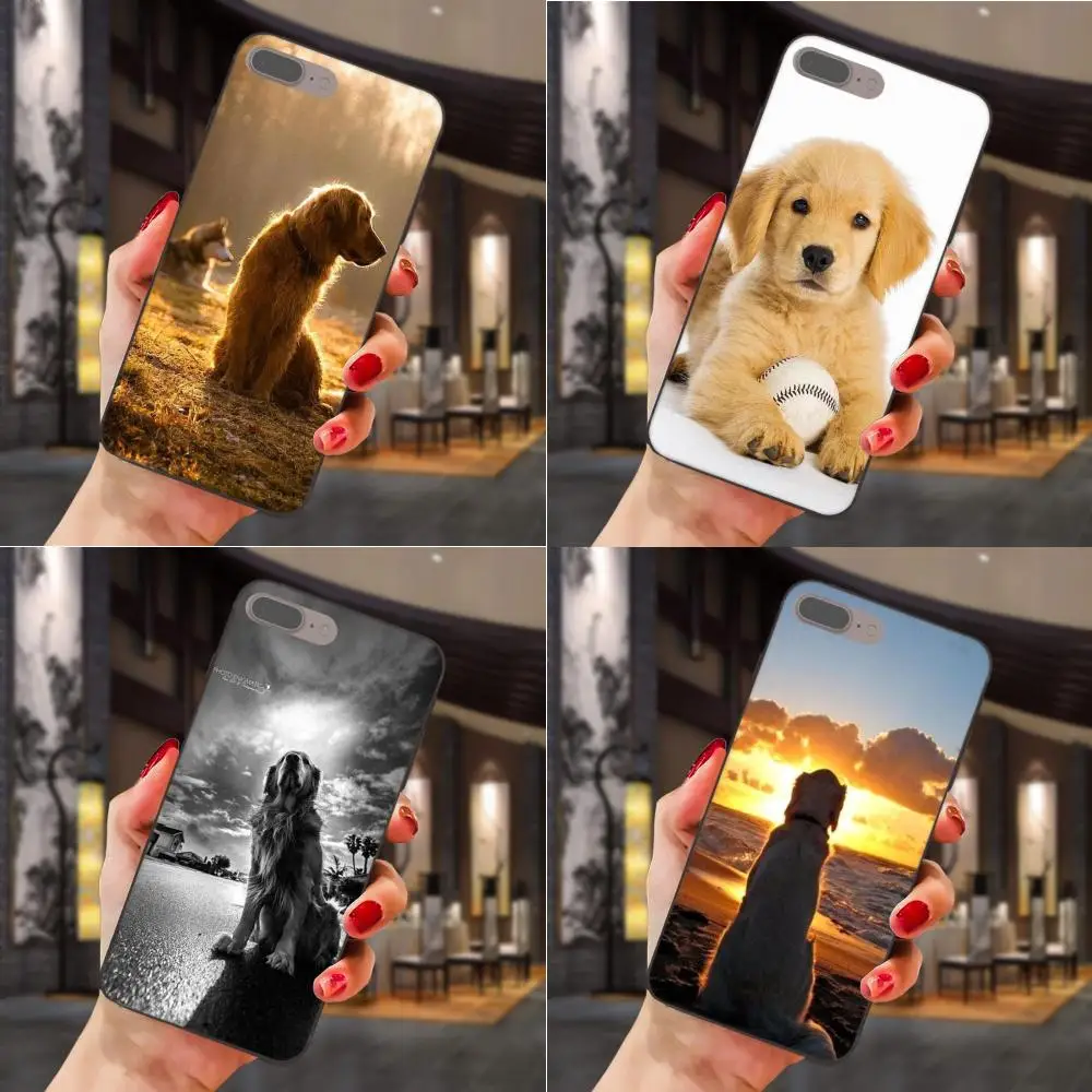 Мягкие чехлы для Samsung Galaxy Note 4 8 9 S3 S4 S5 S6 S7 S8 S9 S10 Edge Plus Lite I9080 G313 золотистый ретривер
