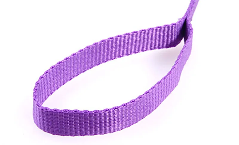 SYDZSW Pet Classic Solid Color Dog Leash Durable Nylon Dog Leash 0.6 x 4 feet Pet Leads Leash for Small and Medium Dogs10