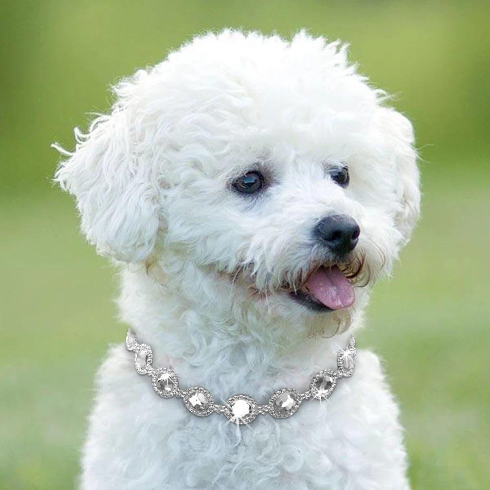 Ожерелье Стразы Bling Dog ювелирное украшение жемчуг бриллиант ожерелья с котом для