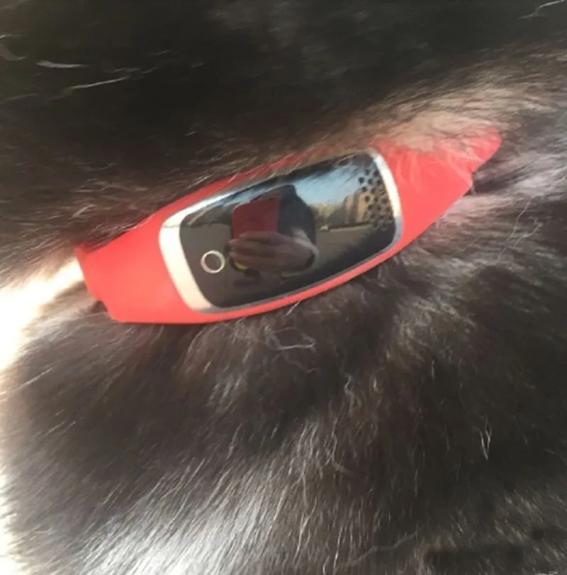 Мини Водонепроницаемый силиконовый ошейник для домашних животных gps трекер локатор в реальном времени gps+ LBS+ Wi-Fi локатор местоположения для собак, кошек отслеживание геофенса