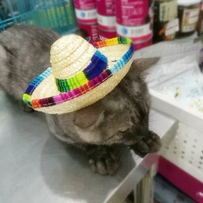 1 шт., Новое поступление, разноцветная соломенная шляпа для домашних животных, собачья кошка, мексиканская соломенная шляпа-сомбреро, костюм для домашних животных с регулируемой пряжкой, Прямая поставка