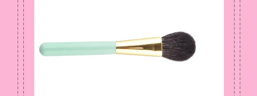 makeup brush 2