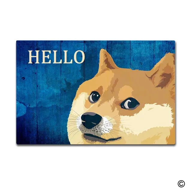 msmr doormat entrance floor mat funny doormat hello funny dog door