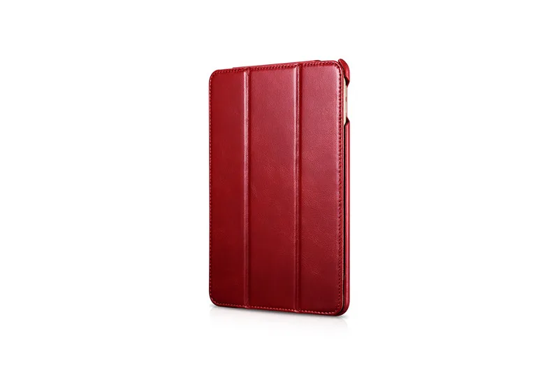 ipad mini 5 (5)