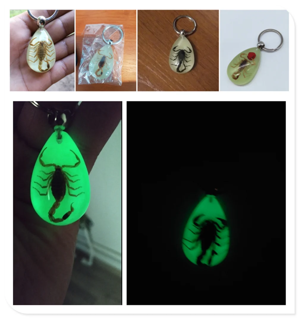 Car motorcycle light insect keychain scorpion key ring for Ford Expedition EcoSport Kuga F-Series Escape