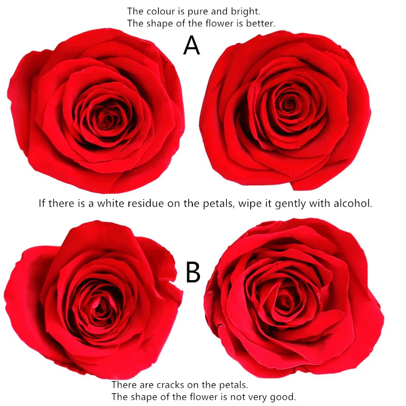9302629549_1787692047_