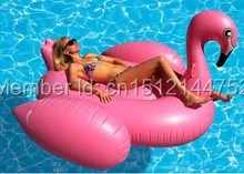 Flamingo giant  float