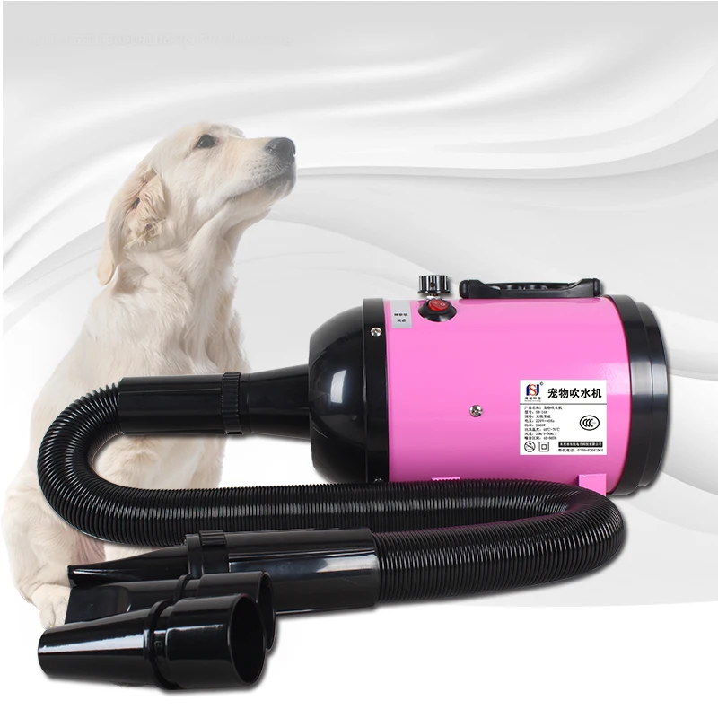 

Professional 2800W Dog Dryer Low Noise Pet Dryer Adjustable hair dryer dog Cat Grooming