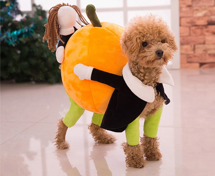 Buy New Cute Funny Pet Dogs Clothes Suit Pumpkin Shape